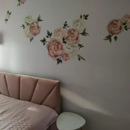 Apartament Na Poddaszu Pola Nowa Wies Leborska Exterior photo