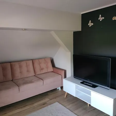 Apartament Na Poddaszu Pola Nowa Wies Leborska Exterior photo